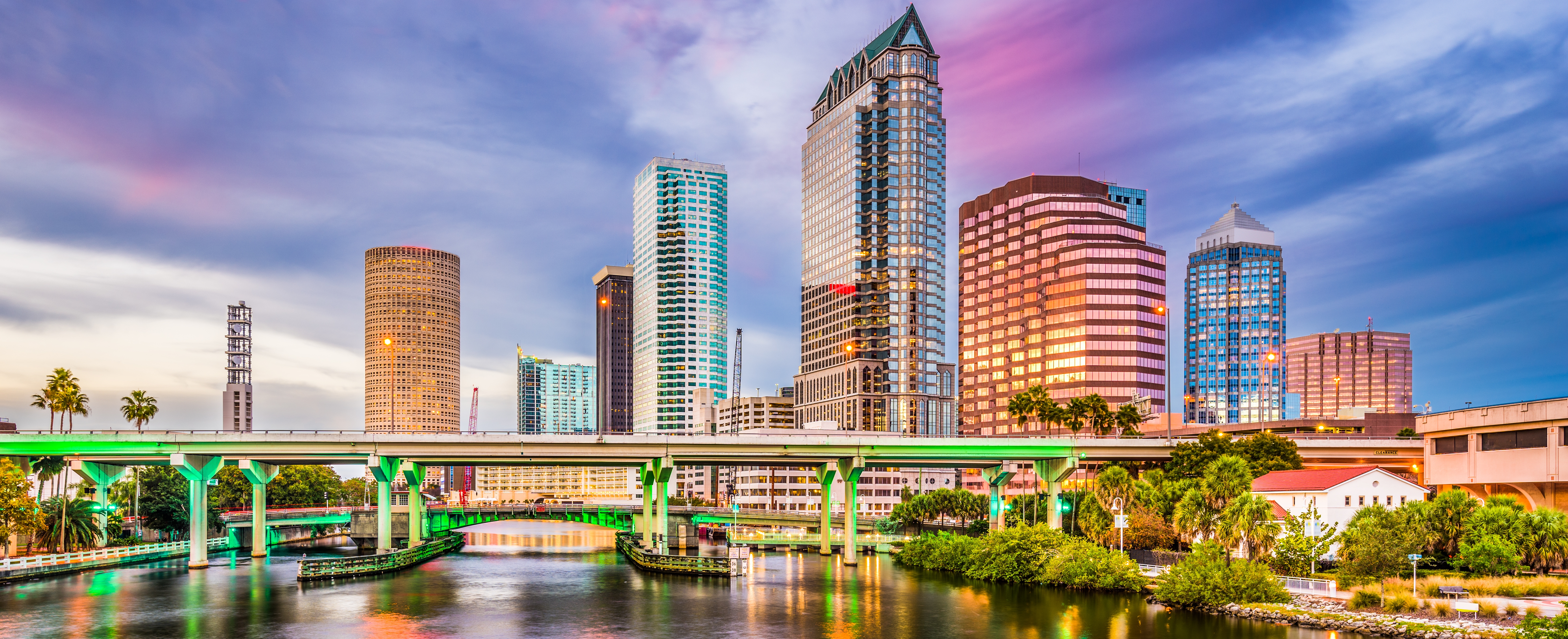 Tampa landscape