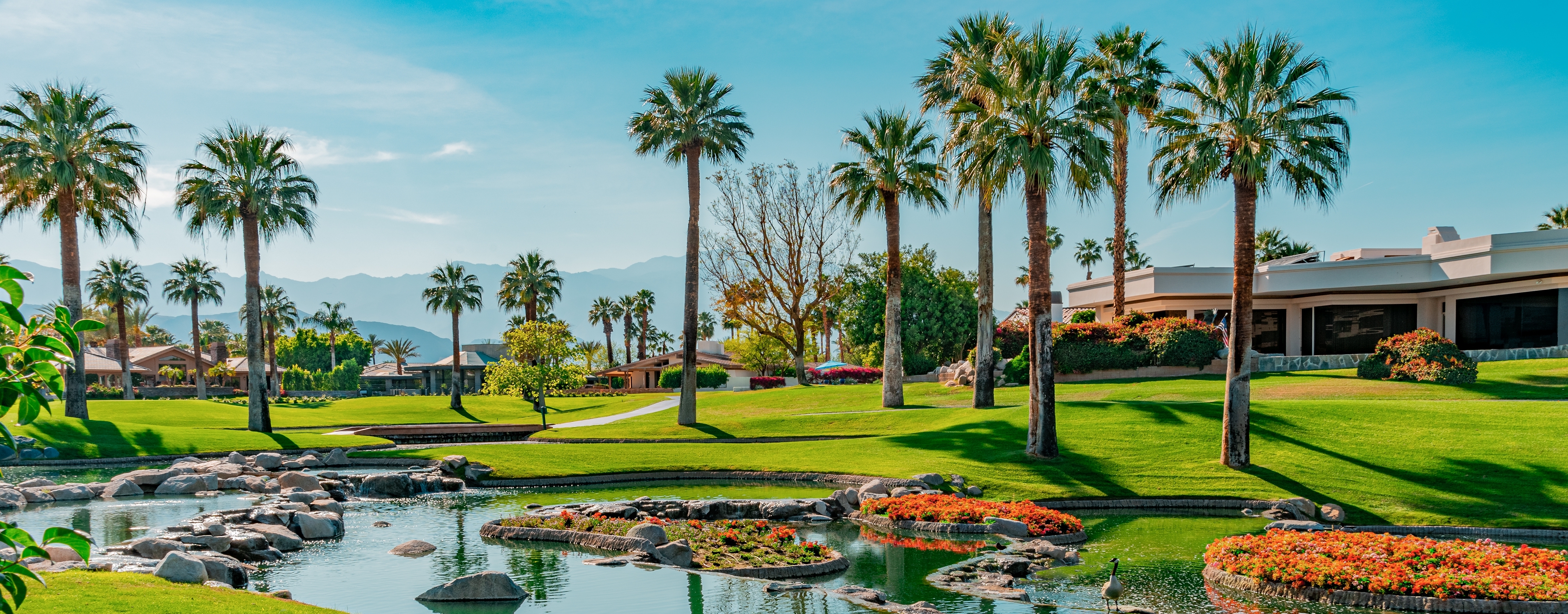 Palm Springs Landscape