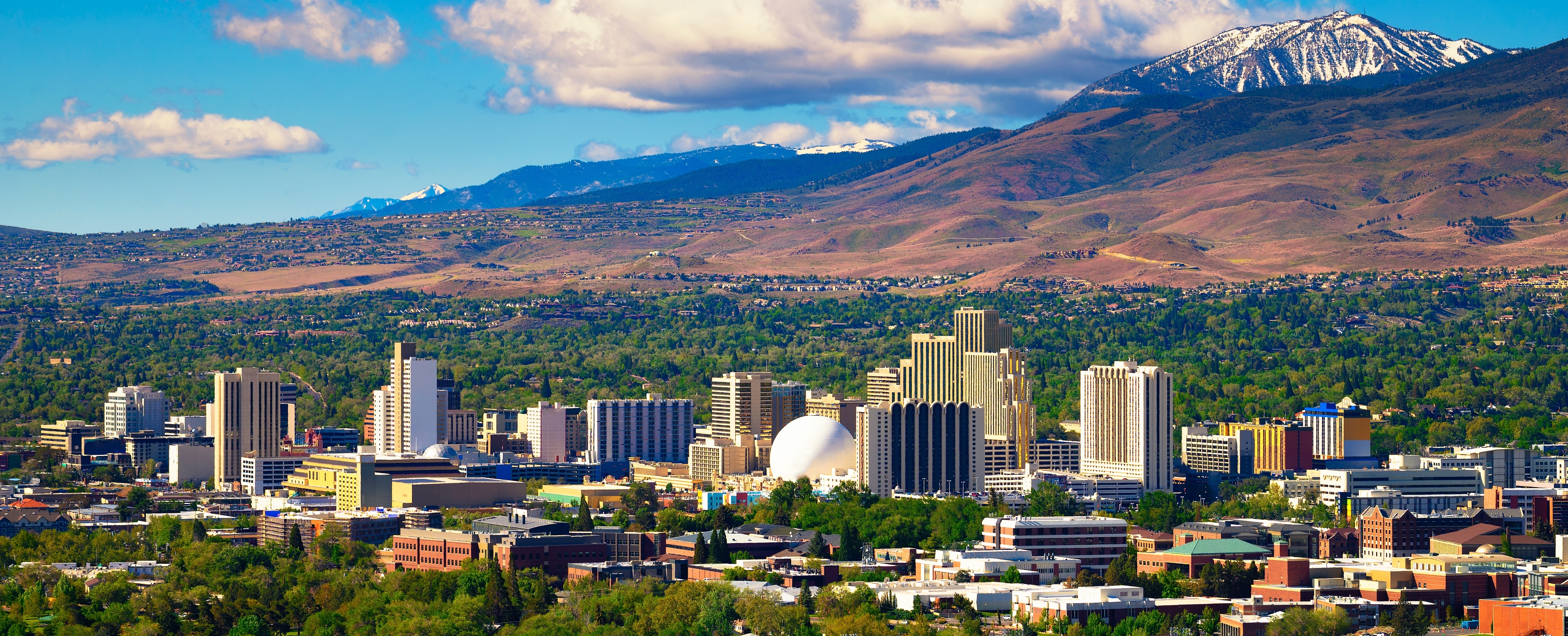 Reno Landscape