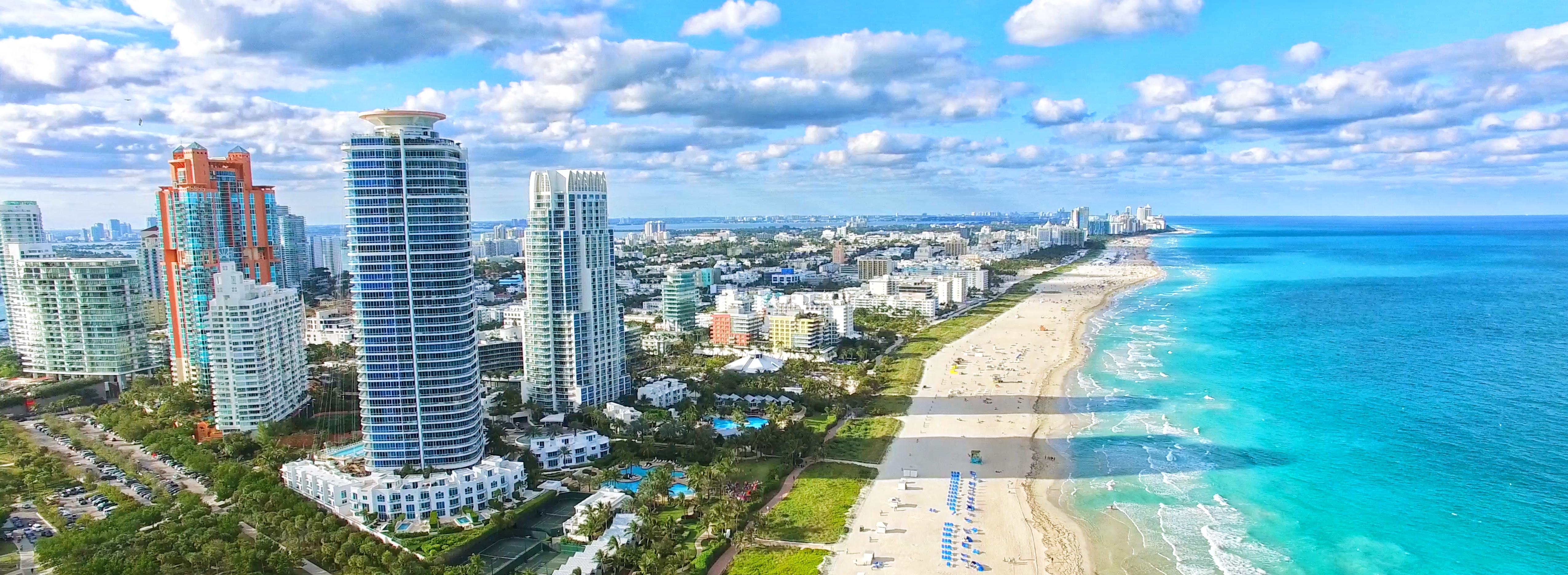 South Florida Landscape