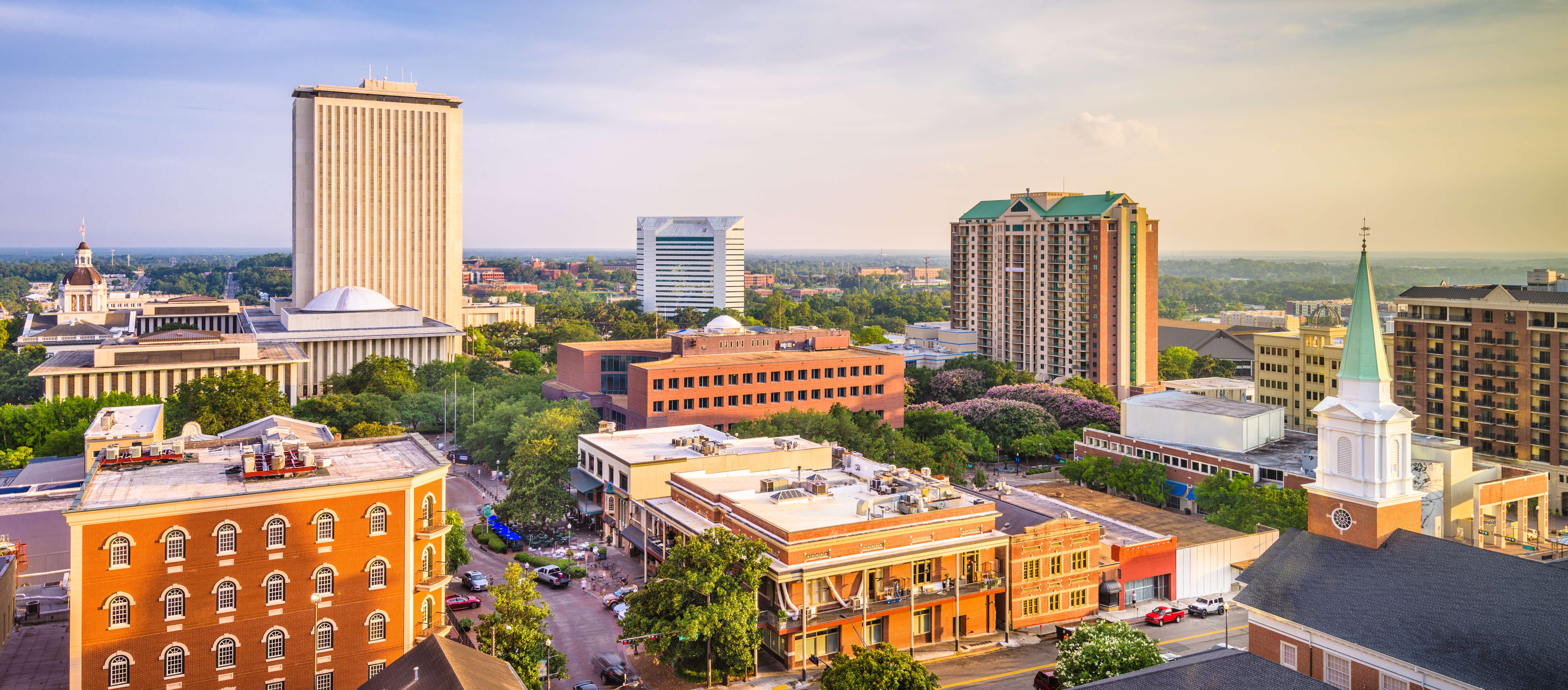 Tallahassee landscape