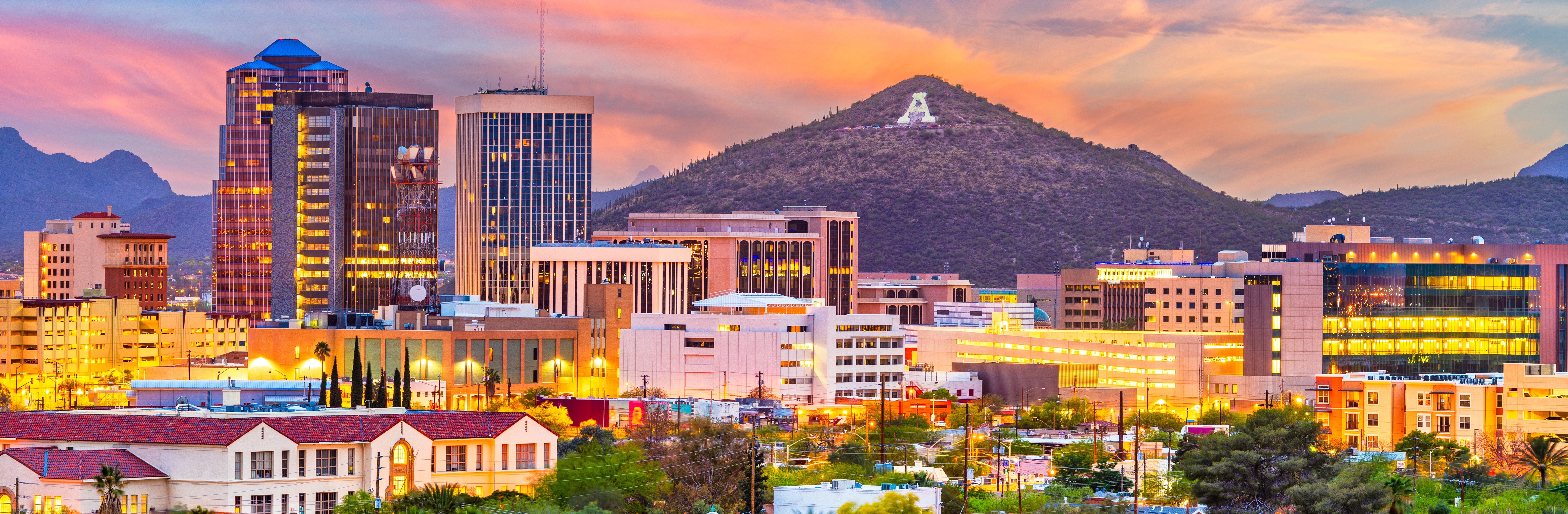 Tucson landscape